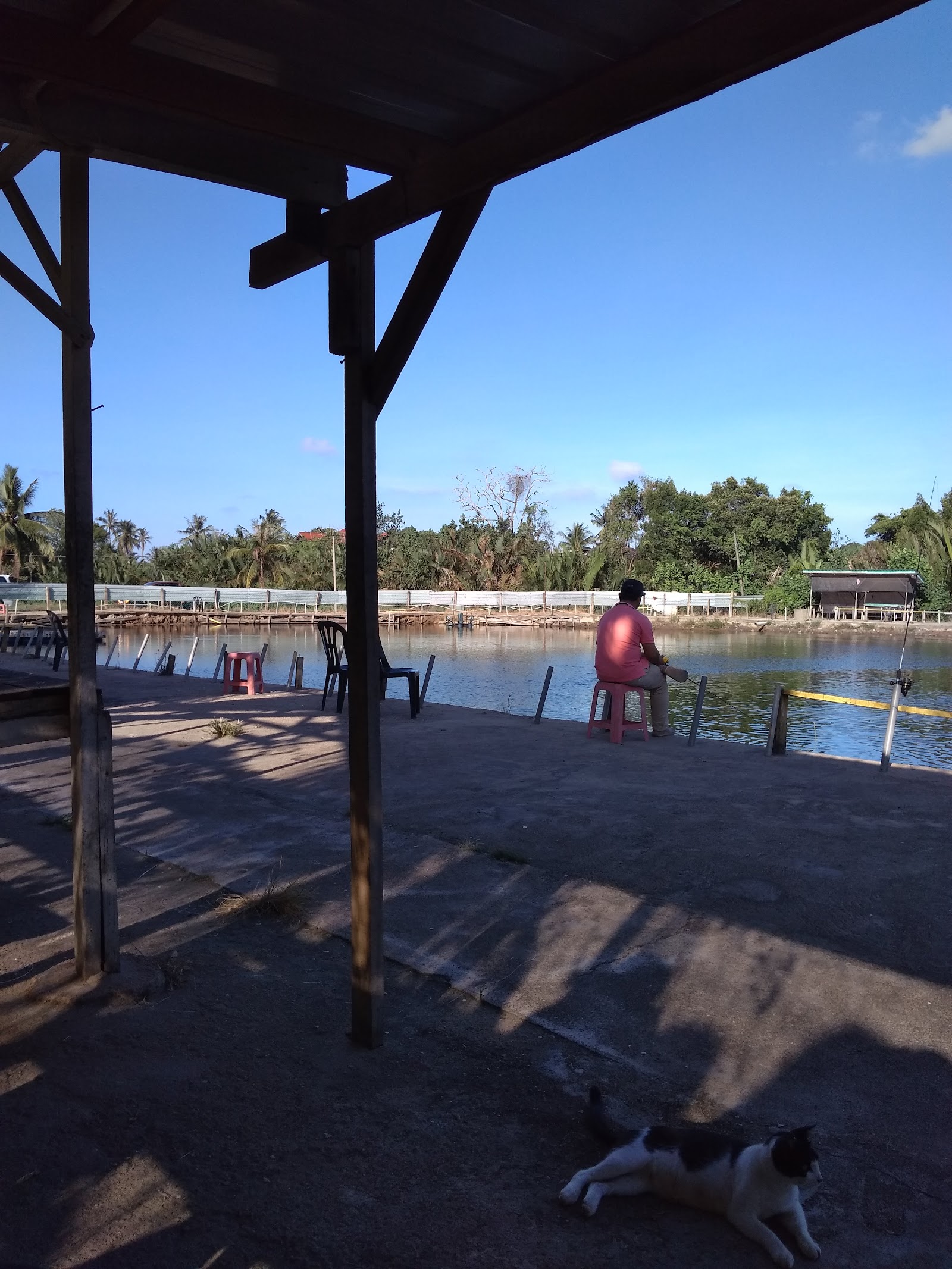Kolam Memancing Balok, fishing pond in Balok, Pahang (photo 2)