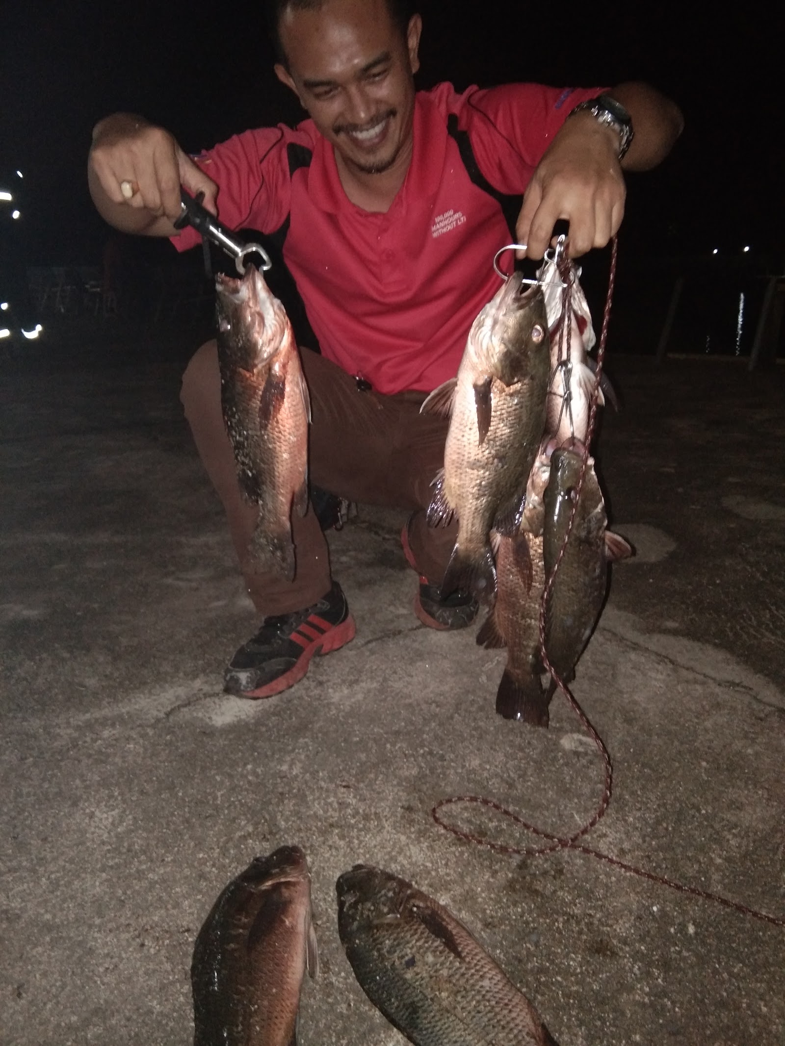 Kolam Memancing Balok, fishing pond in Balok, Pahang (photo 3)