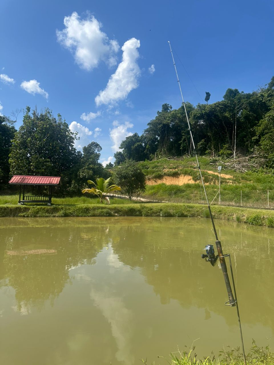 D'Seberang Kolam Patin, kolam pancing di Dong, Pahang (gambar 3)