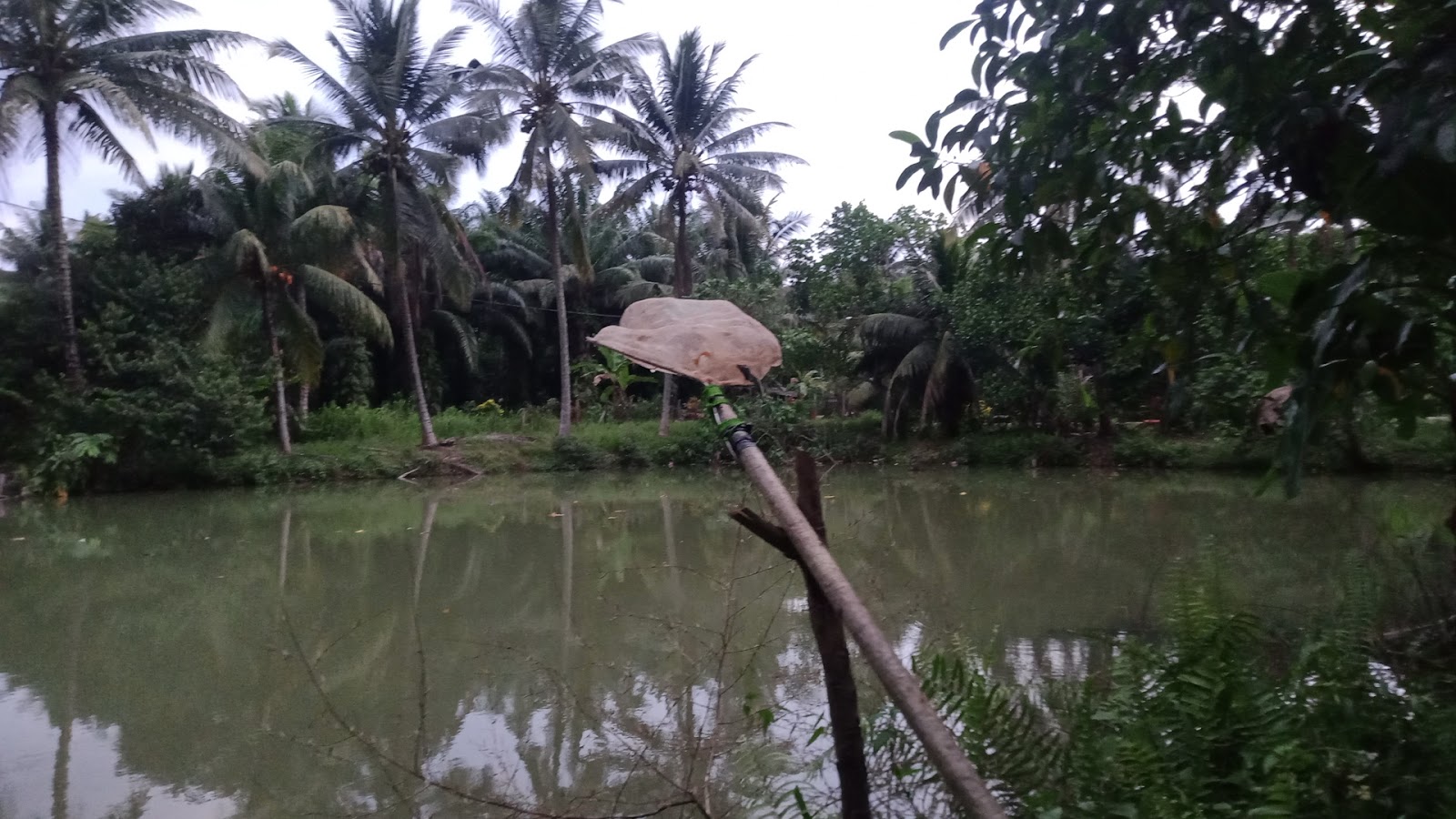 Kolam pancing KOLAM RIZAB KELUARGA HAJI KAMALUDIN