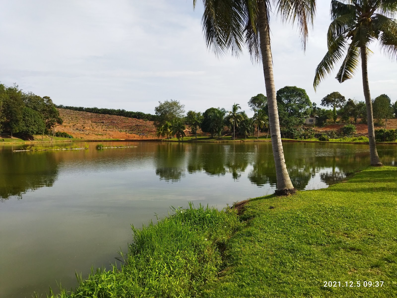 Kolam Tasek Semantan, kolam pancing di Mentakab, Pahang (gambar 2)
