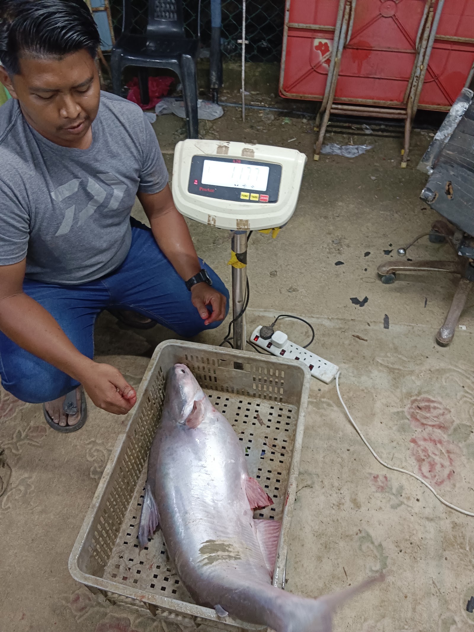 Kolam pancing Kolam Pancing Jengka 10