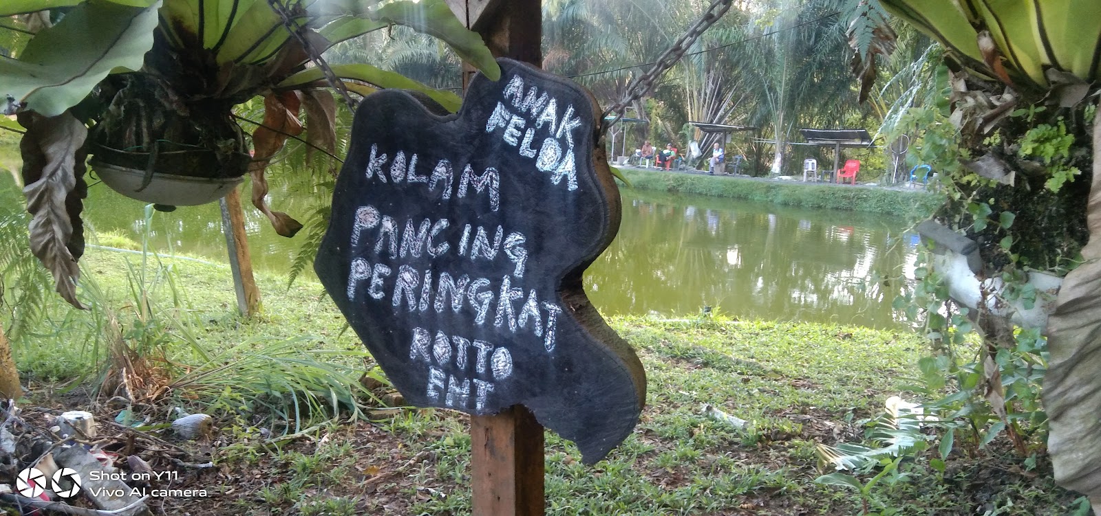 Kolam pancing peringkat, kolam pancing di Jerantut, Pahang (gambar 3)