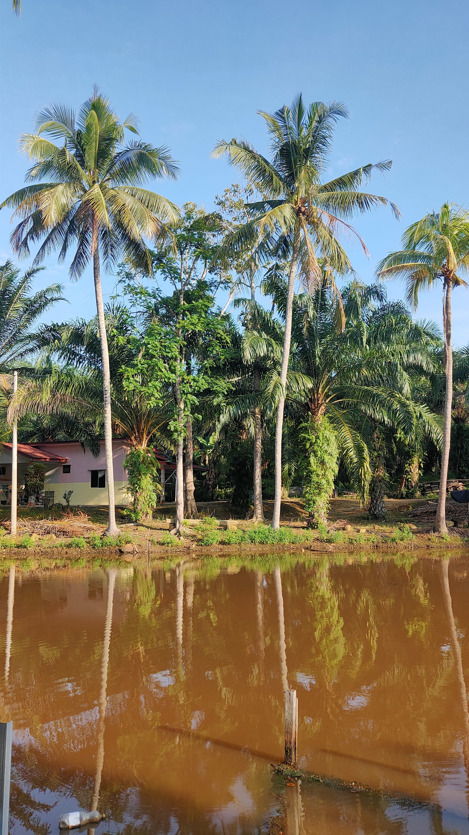 Kolam pancing Kolam Memancing Lembah Juara