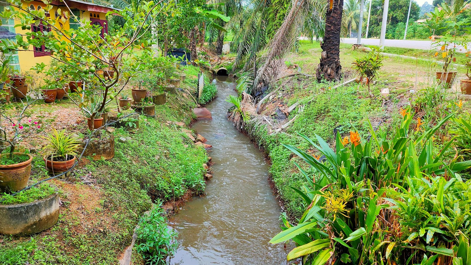 Kolam Memancing Lembah Juara, kolam pancing di Bandar Tun Razak, Pahang (gambar 3)