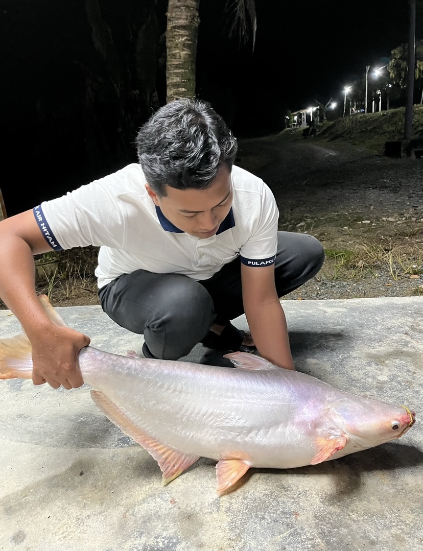Kolam Pancing D'Sejuk, fishing pond in Raub, Pahang (photo 2)