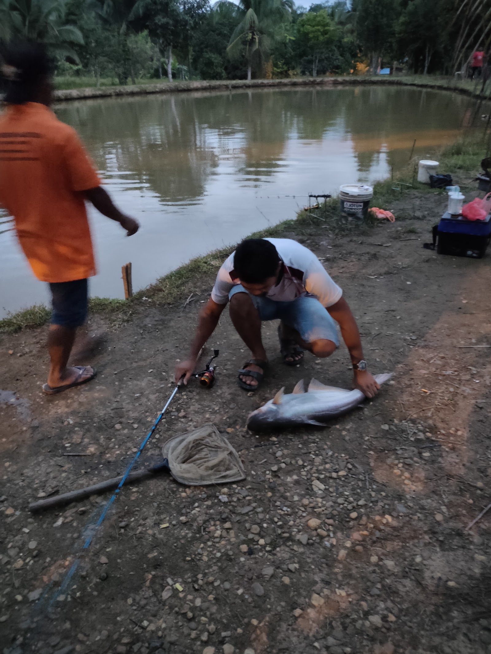 Kolam pancing KOLAM PANCING LEMBAH BINJAI