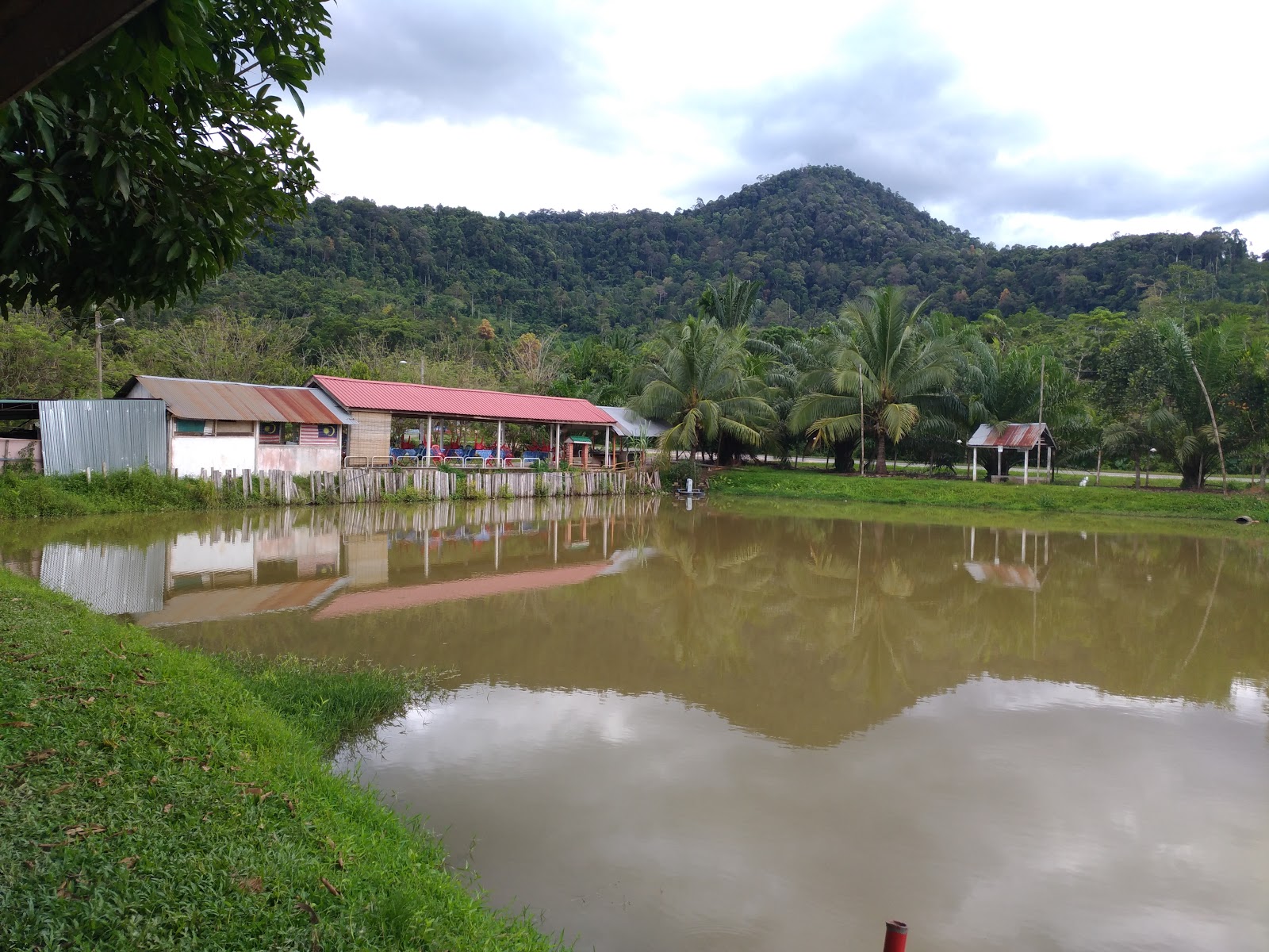 Kolam pancing Kolam Tok 4