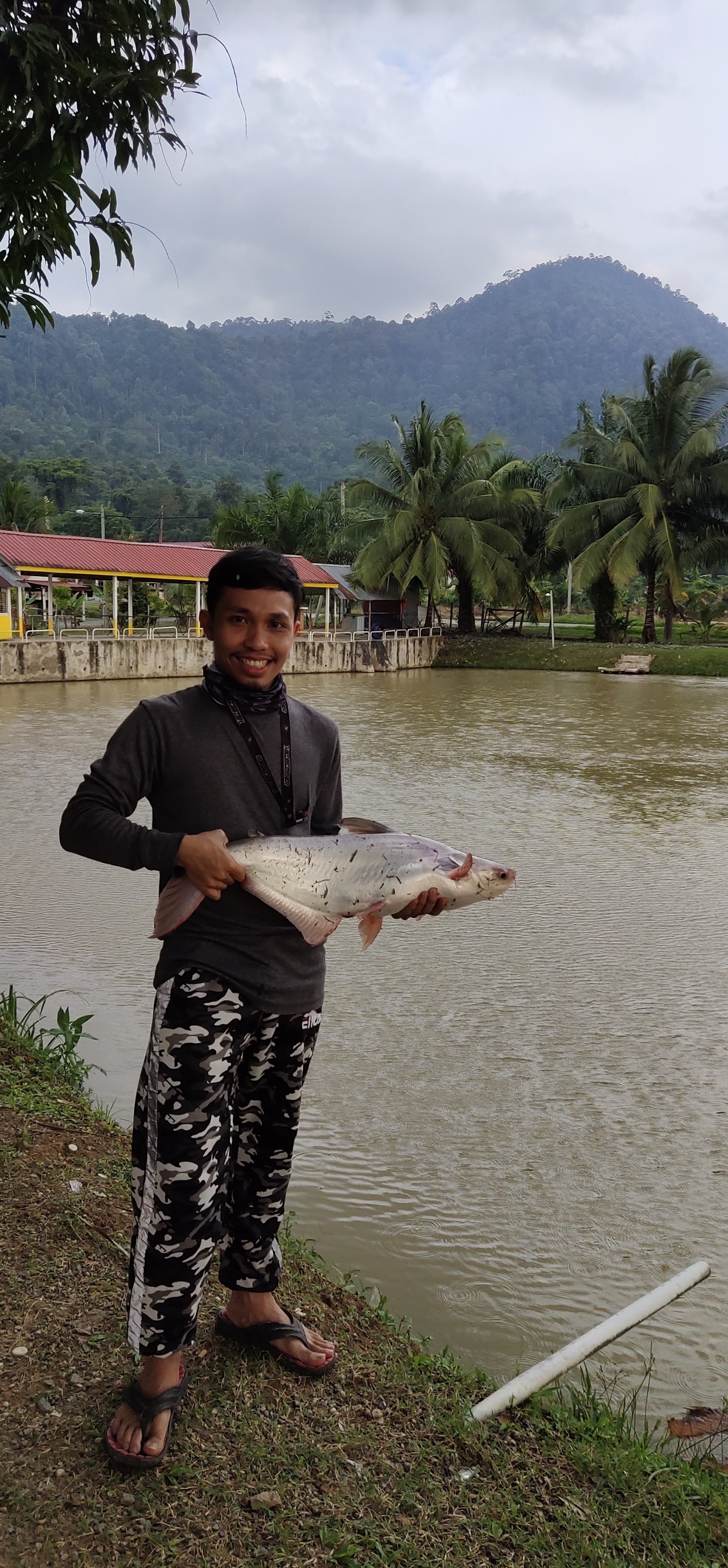 Kolam Tok 4, fishing pond in Jerantut, Pahang (photo 2)