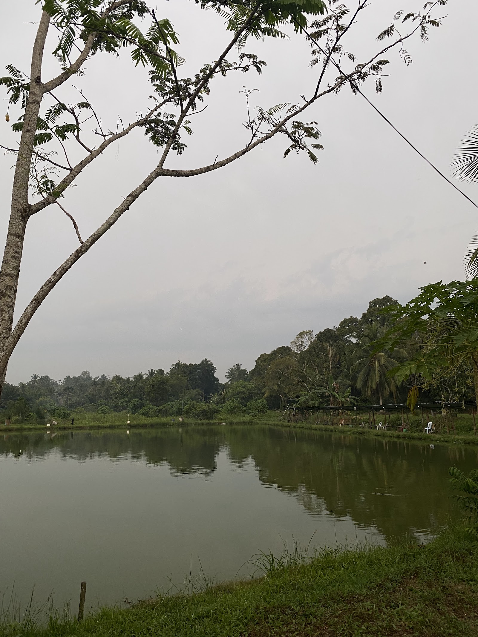 Kolam pancing Kolam Mancing Melur Santuary