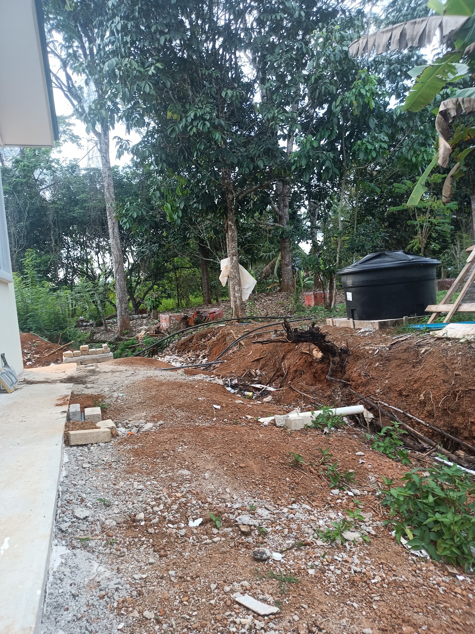 Kolam Pancing Pok Tea fishing pond