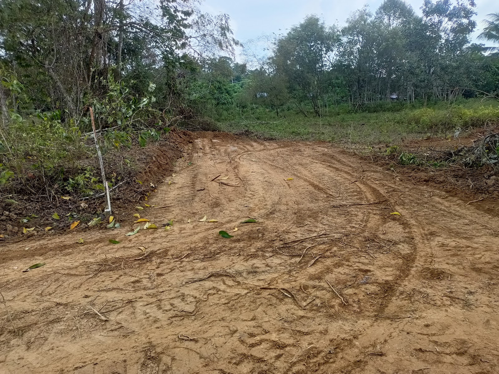 Kolam Pancing Pok Tea, fishing pond in Kuala Lipis, Pahang (photo 2)