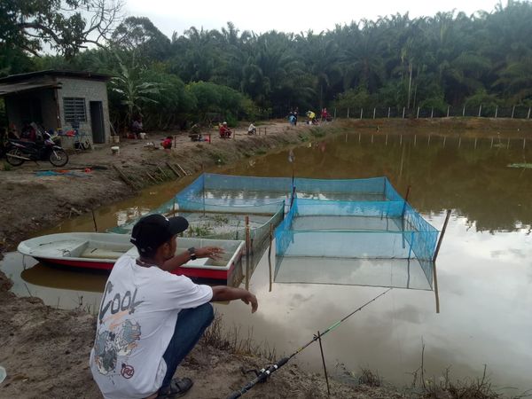 Kolam Memancing Legasi, fishing pond in Bandar Tun Abdul Razak, Pahang (photo 2)