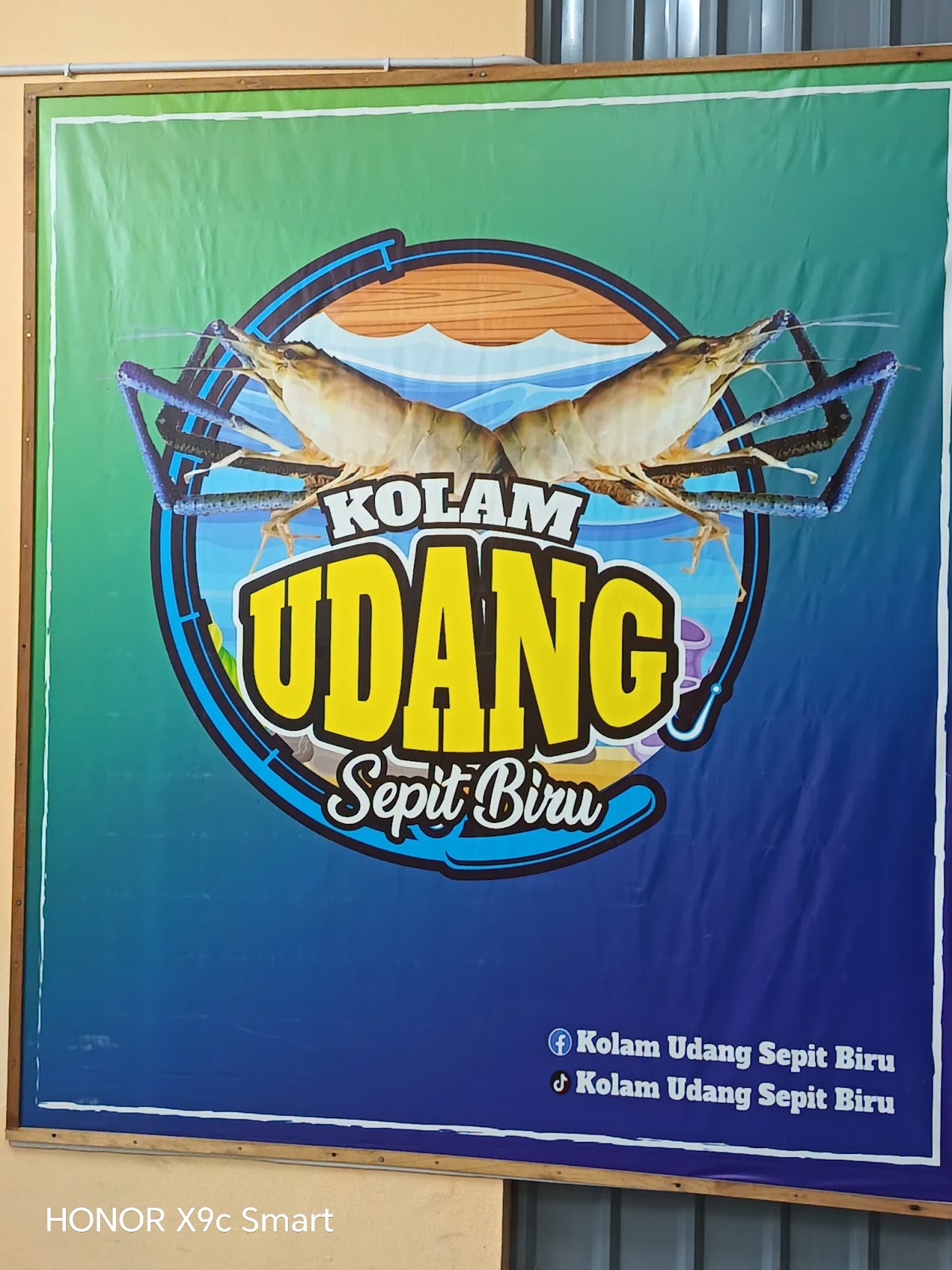 KOLAM UDANG SEPIT BIRU MUADZAM, kolam pancing di Muadzam Shah, Pahang (gambar 2)