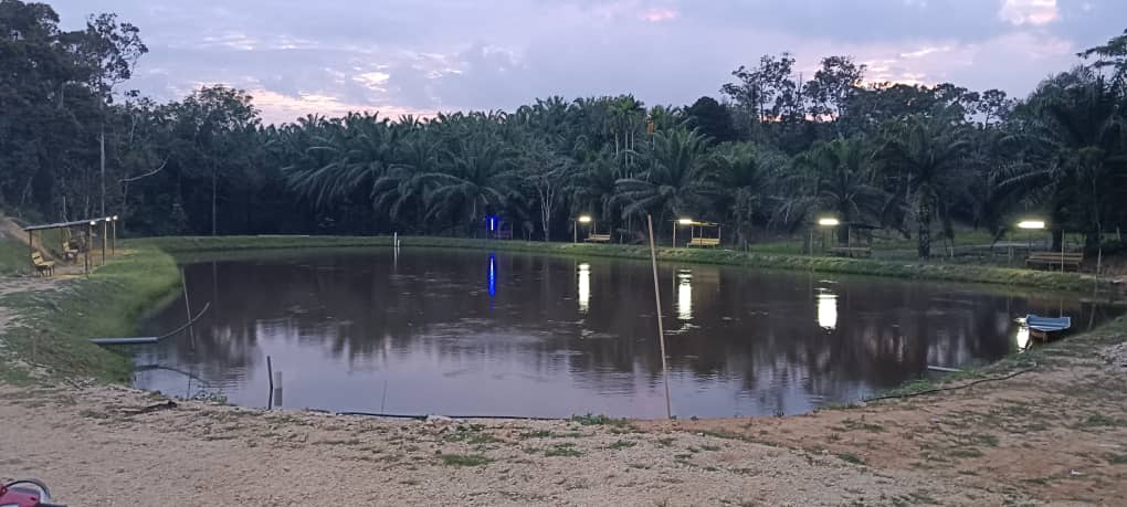 WARUNG KAK SOBARR | KOLAM PANCING PAK AWIE, kolam pancing di Jerantut, Pahang (gambar 2)