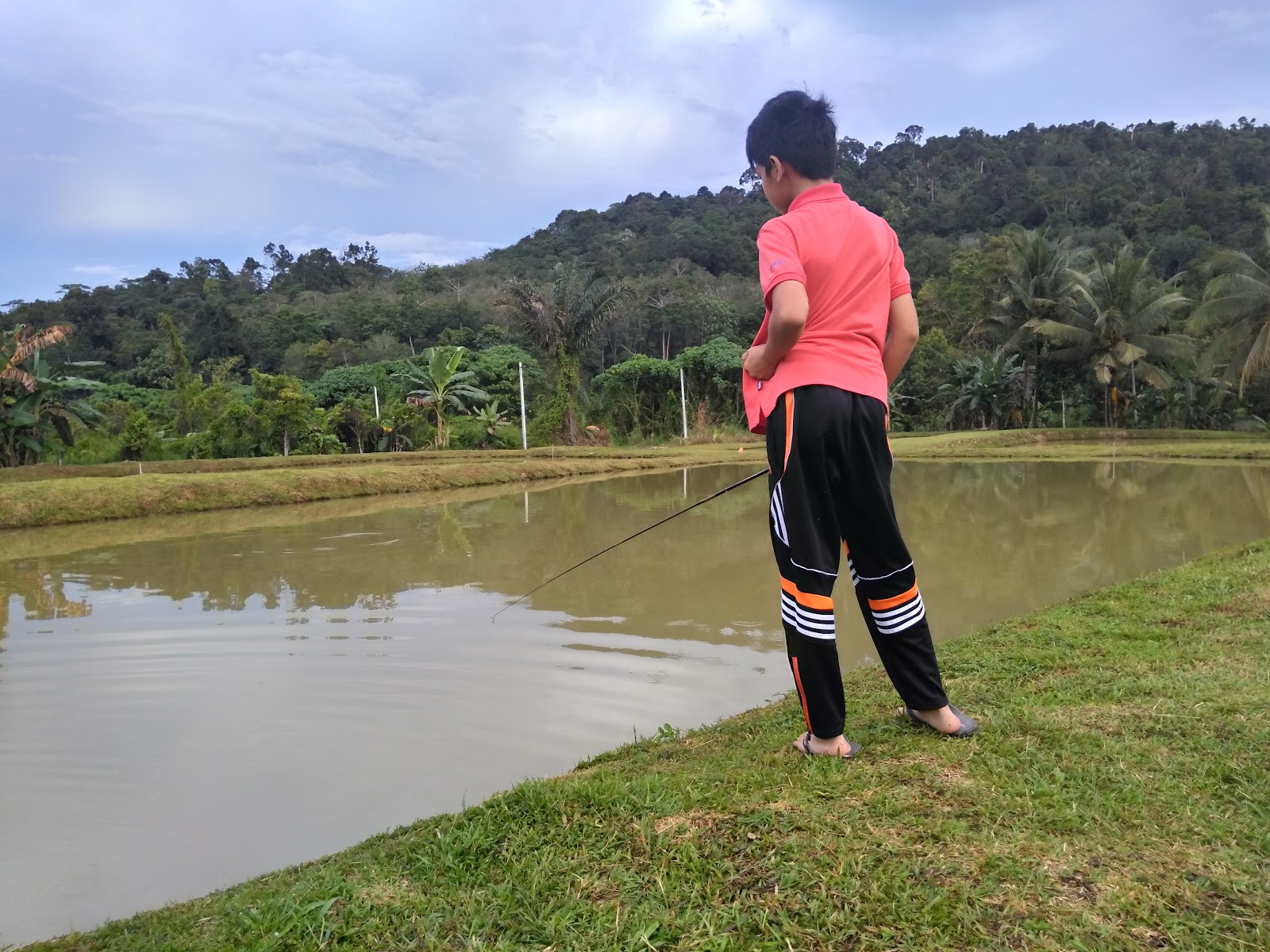 Kolam NASA, fishing pond in Jerantut, Pahang (photo 2)