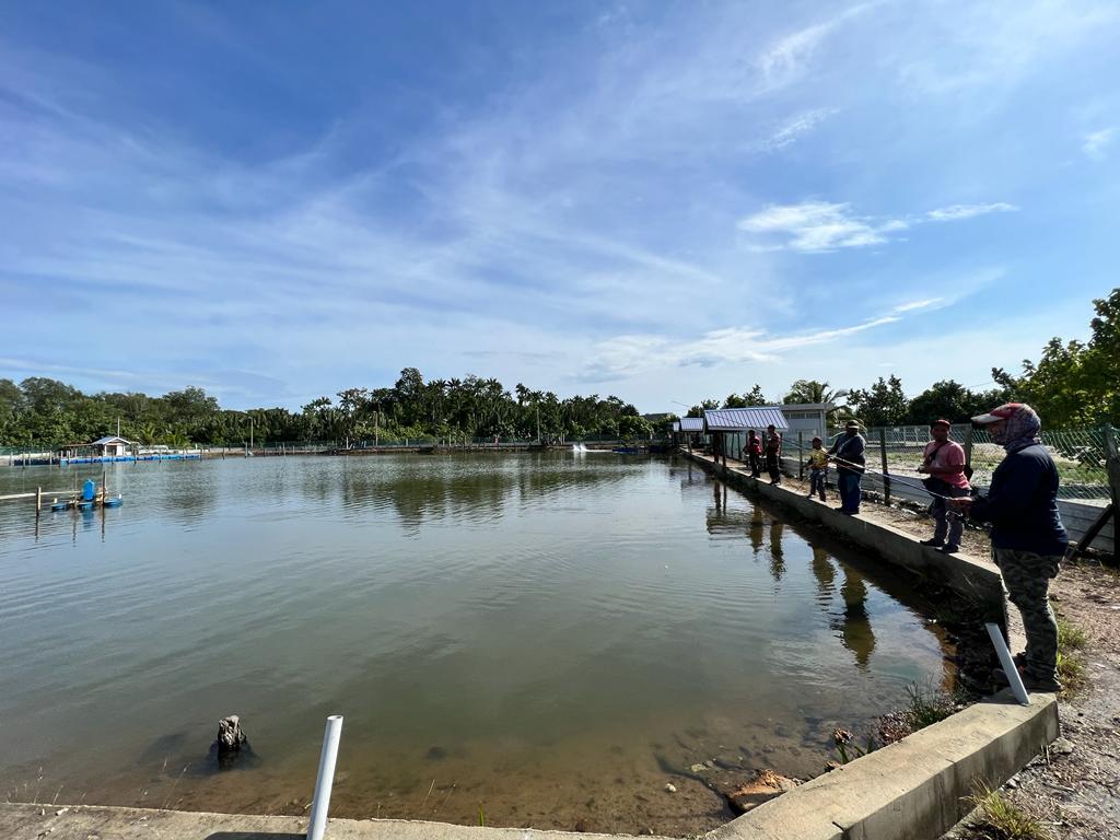 Kolam Pancing PNK Rompin, fishing pond in Kuala Rompin, Pahang (photo 3)