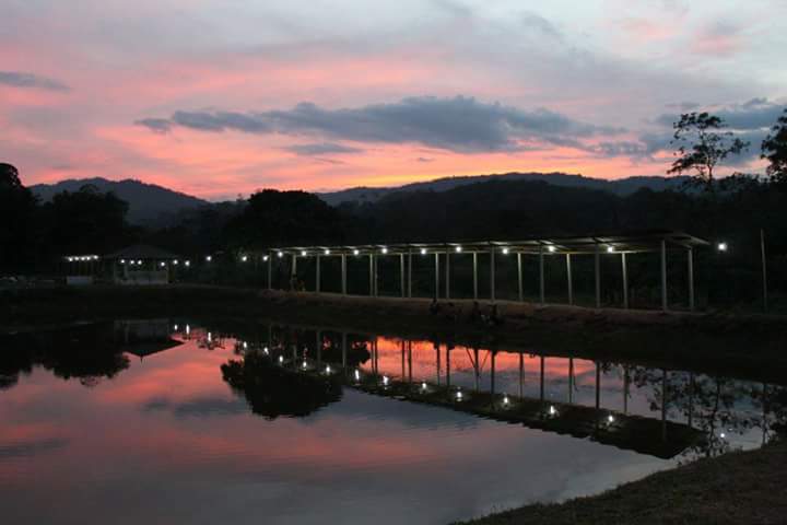 Kolam Pancing Stair Hill, fishing pond in Kuala Klawang, Negeri Sembilan (photo 2)