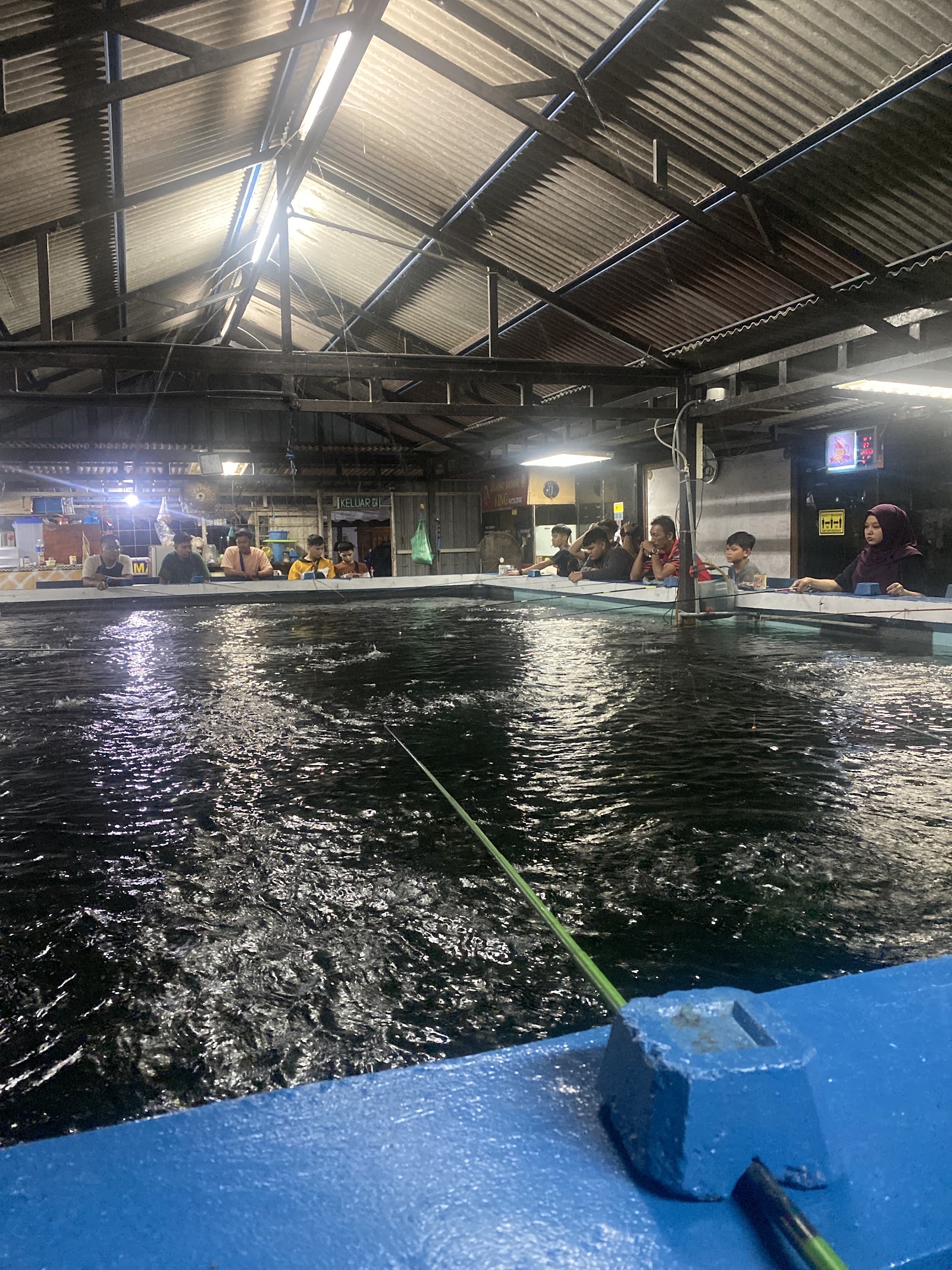 Kolam pancing KOLAM KING PANCING UDANG GALAH PERLIS