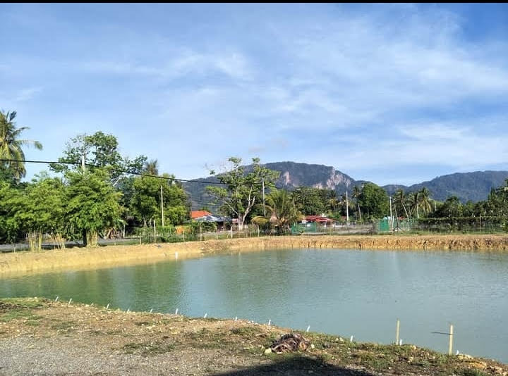 AJ Fishing Sport, fishing pond in Kangar, Perlis (photo 2)