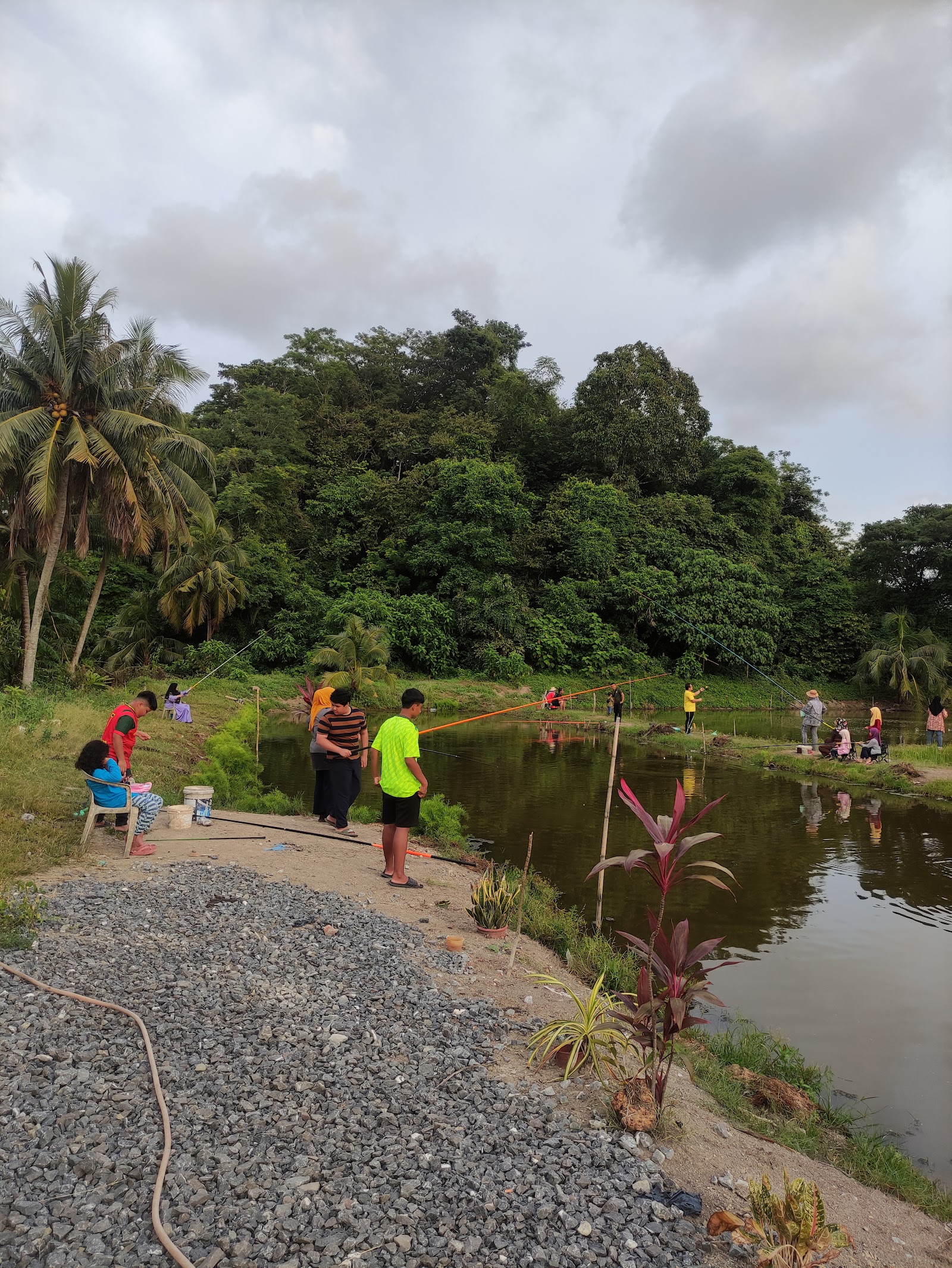 Kolam pancing Kolam Ikan Puyu Air Masin