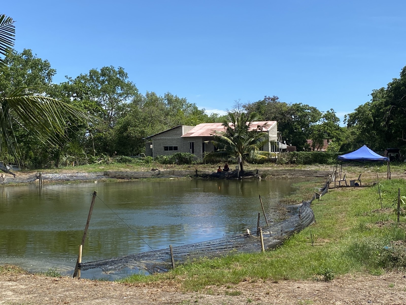 Kolam Ikan Puyu Air Masin, fishing pond in Kuala Perlis, Perlis (photo 2)
