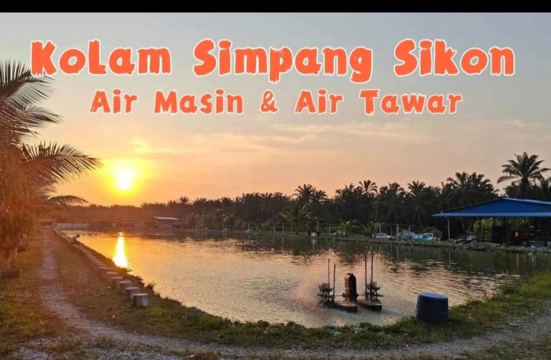 Kolam pancing Kolam Memancing Simpang Sikon Enterprise