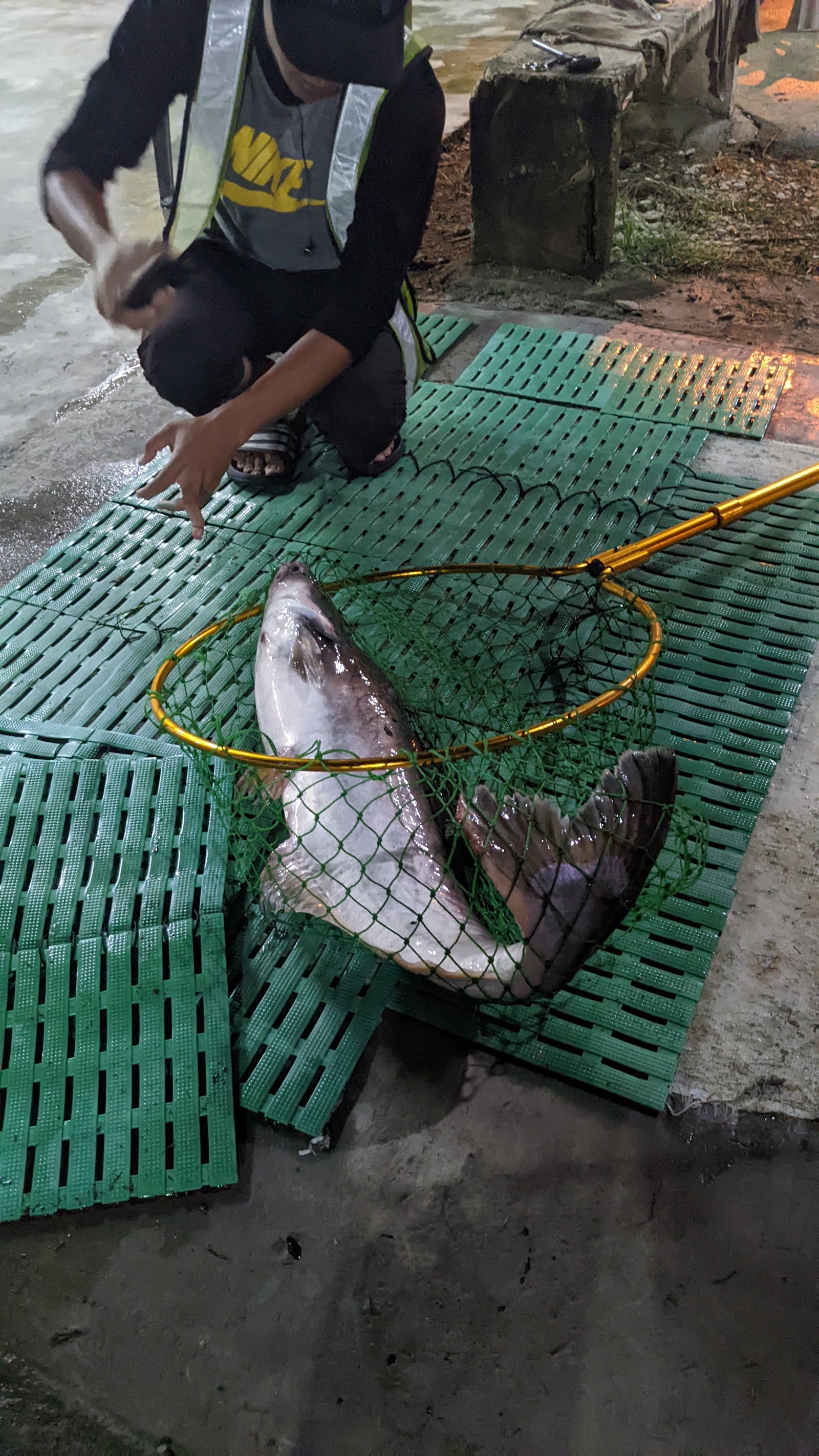 FAIZAL JORAN, kolam pancing di Parit Raja, Johor (gambar 2)