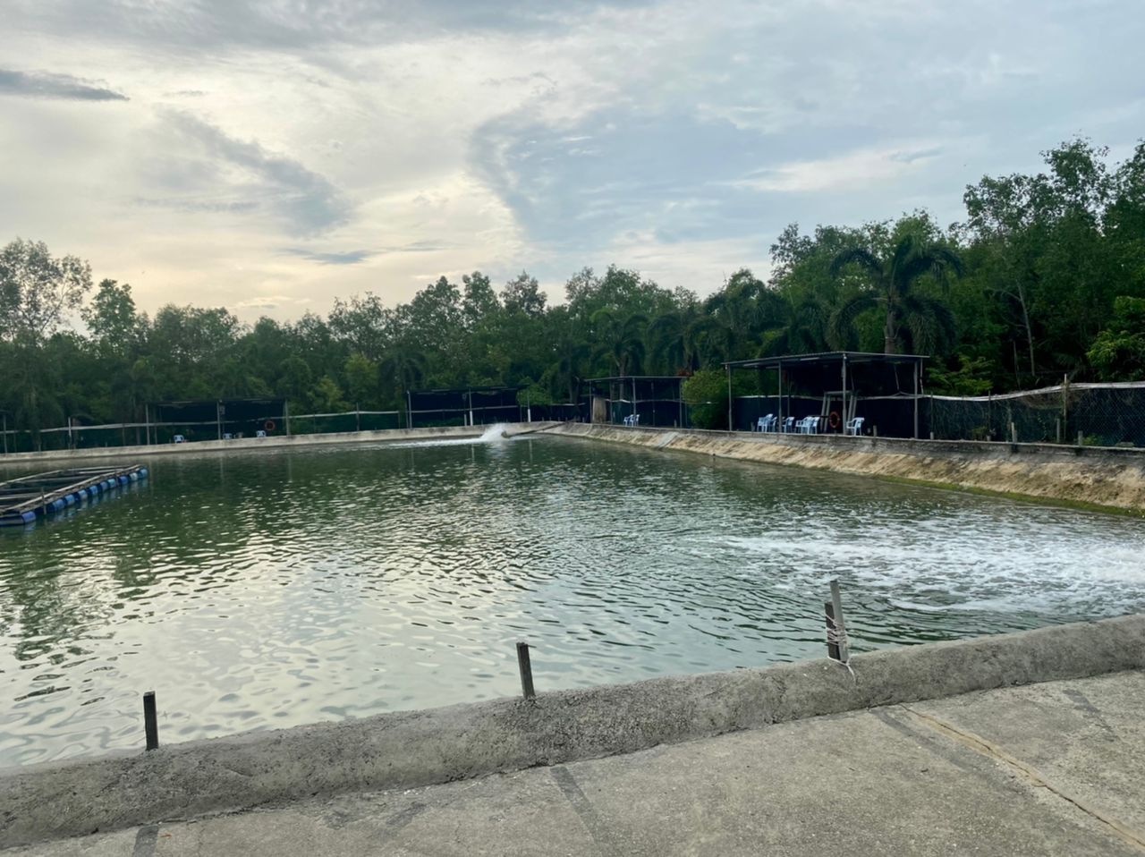 Six Two Fishing Recreation Center, fishing pond in Johor (photo 2)