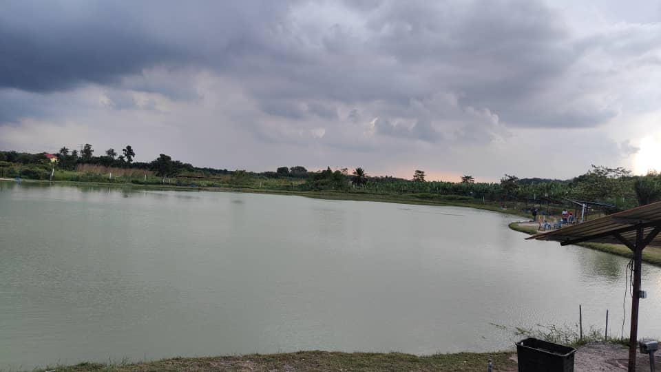 Kolam pancing AA. Sialang, fishing pond in Tangkak, Johor (photo 1)