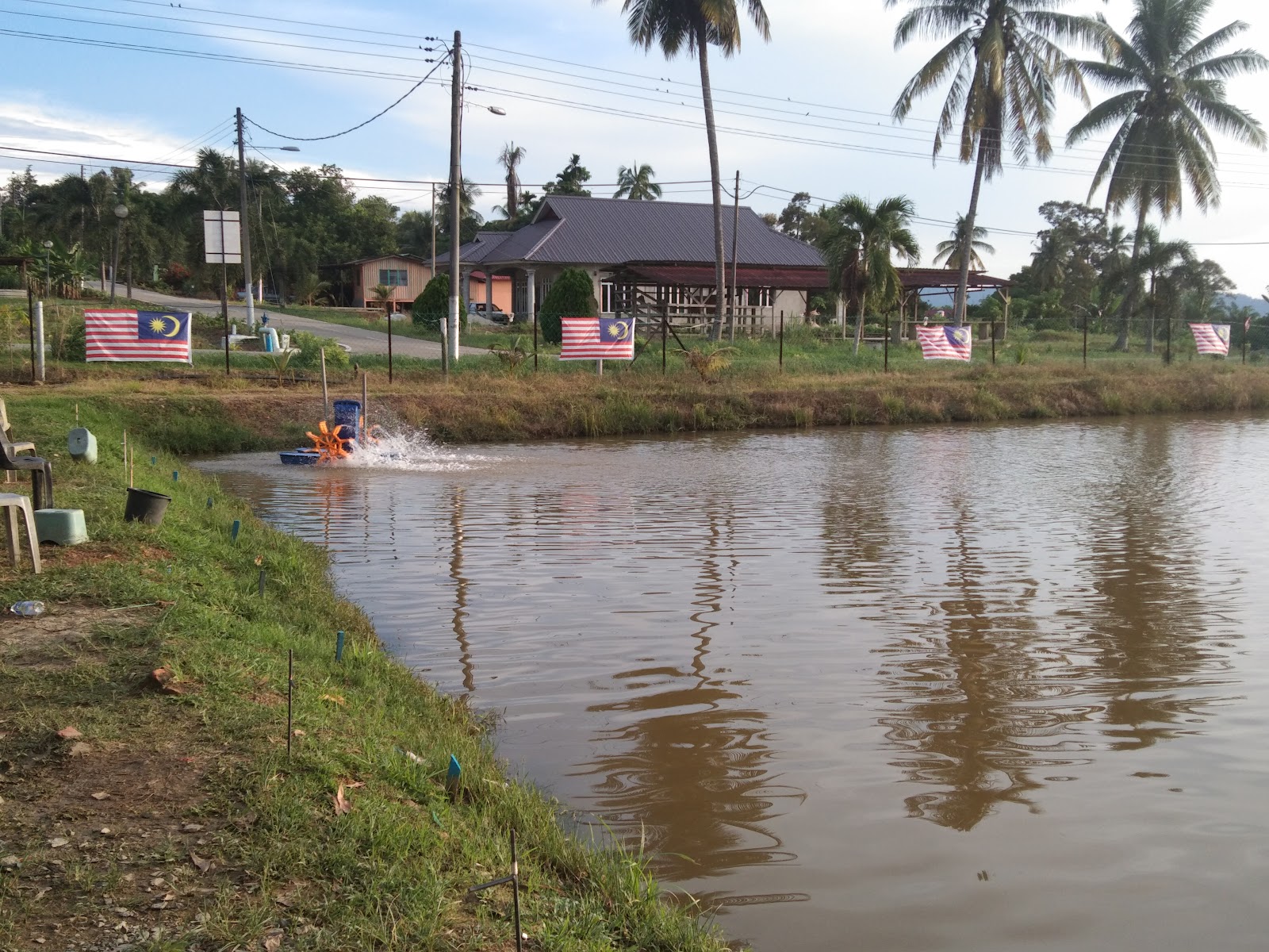 KOLAM PANCING IKAN CHEMPLAK (FISHING), kolam pancing di Segamat, Johor (gambar 2)