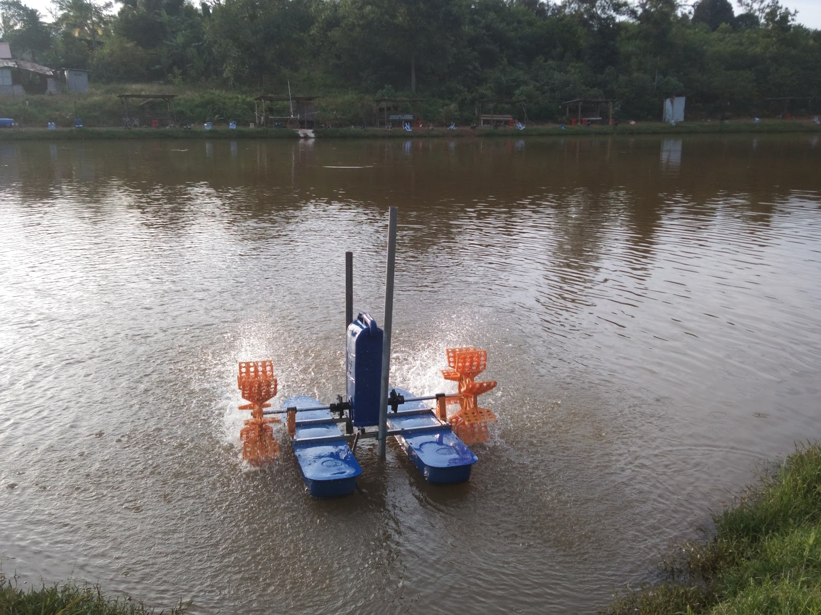 KOLAM PANCING IKAN CHEMPLAK (FISHING), kolam pancing di Segamat, Johor (gambar 3)