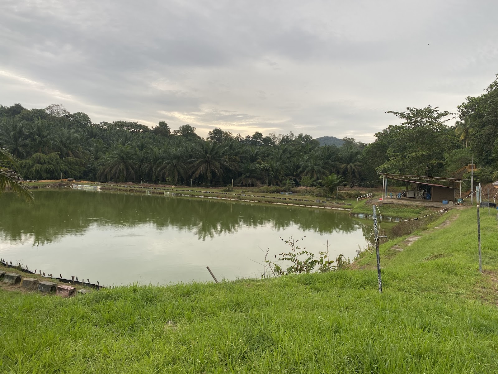 Dgugusan Sport Fishing fishing pond