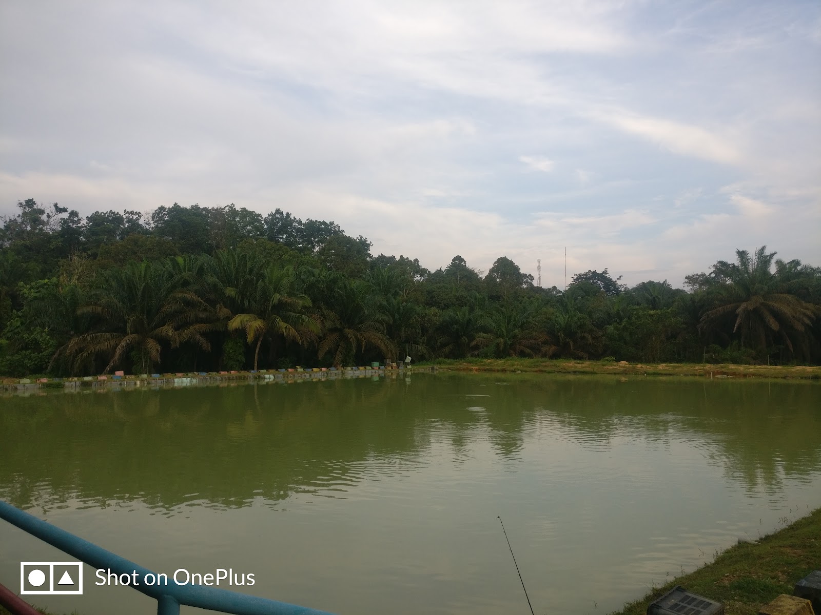 Dgugusan Sport Fishing, kolam pancing di Kluang, Johor (gambar 3)
