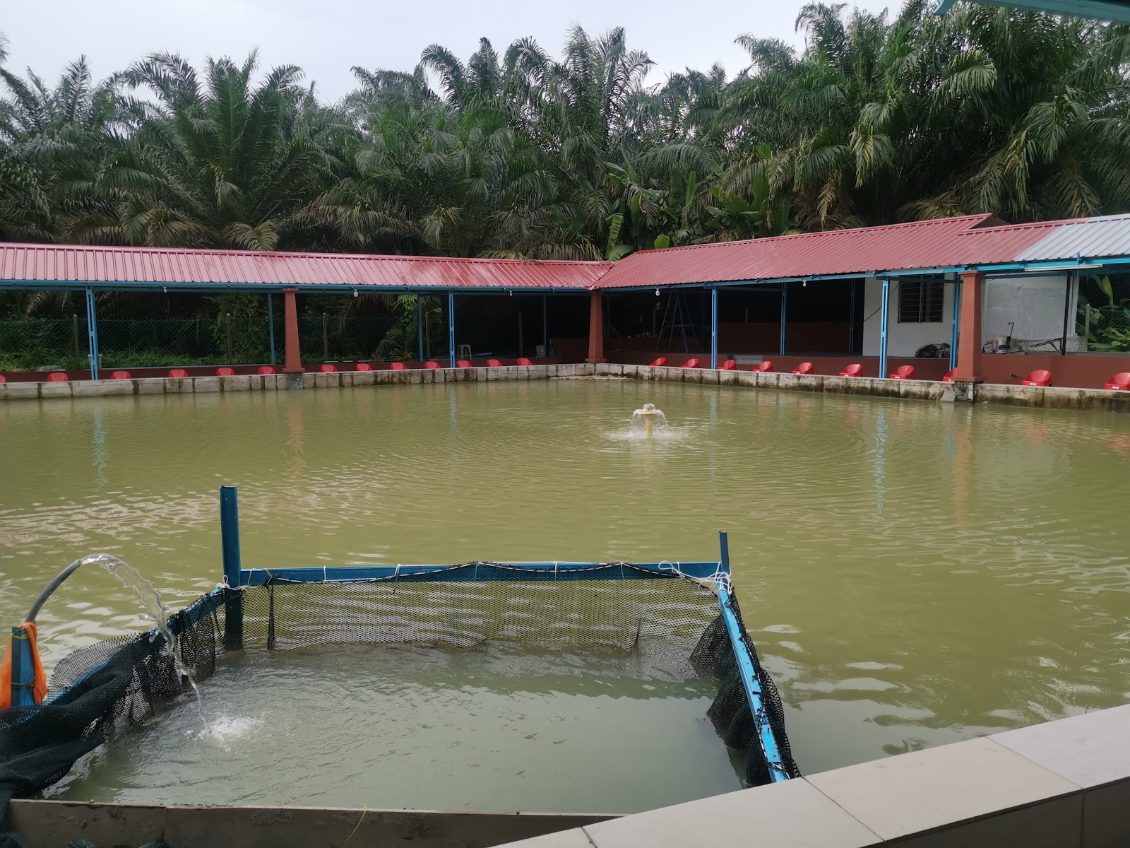 Kolam Pancing Udang Galah D'sebasu fishing pond