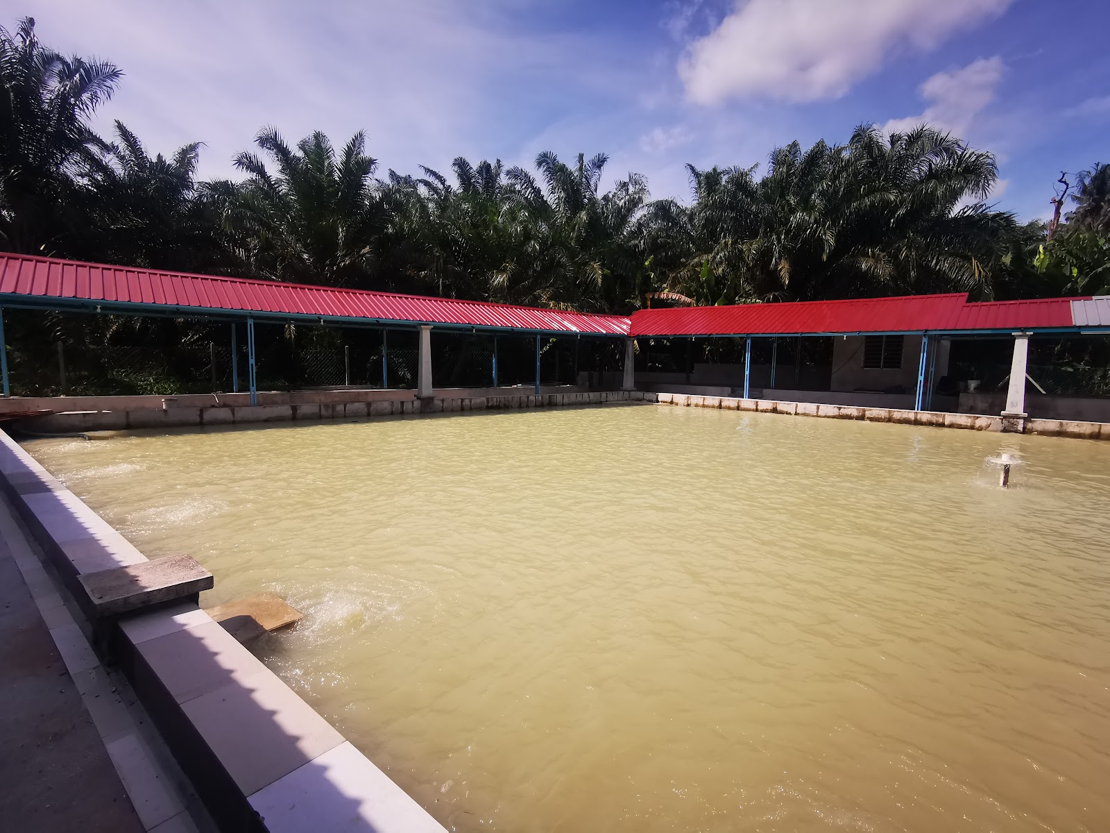 Kolam Pancing Udang Galah D'sebasu, kolam pancing di Pagoh, Johor (gambar 3)