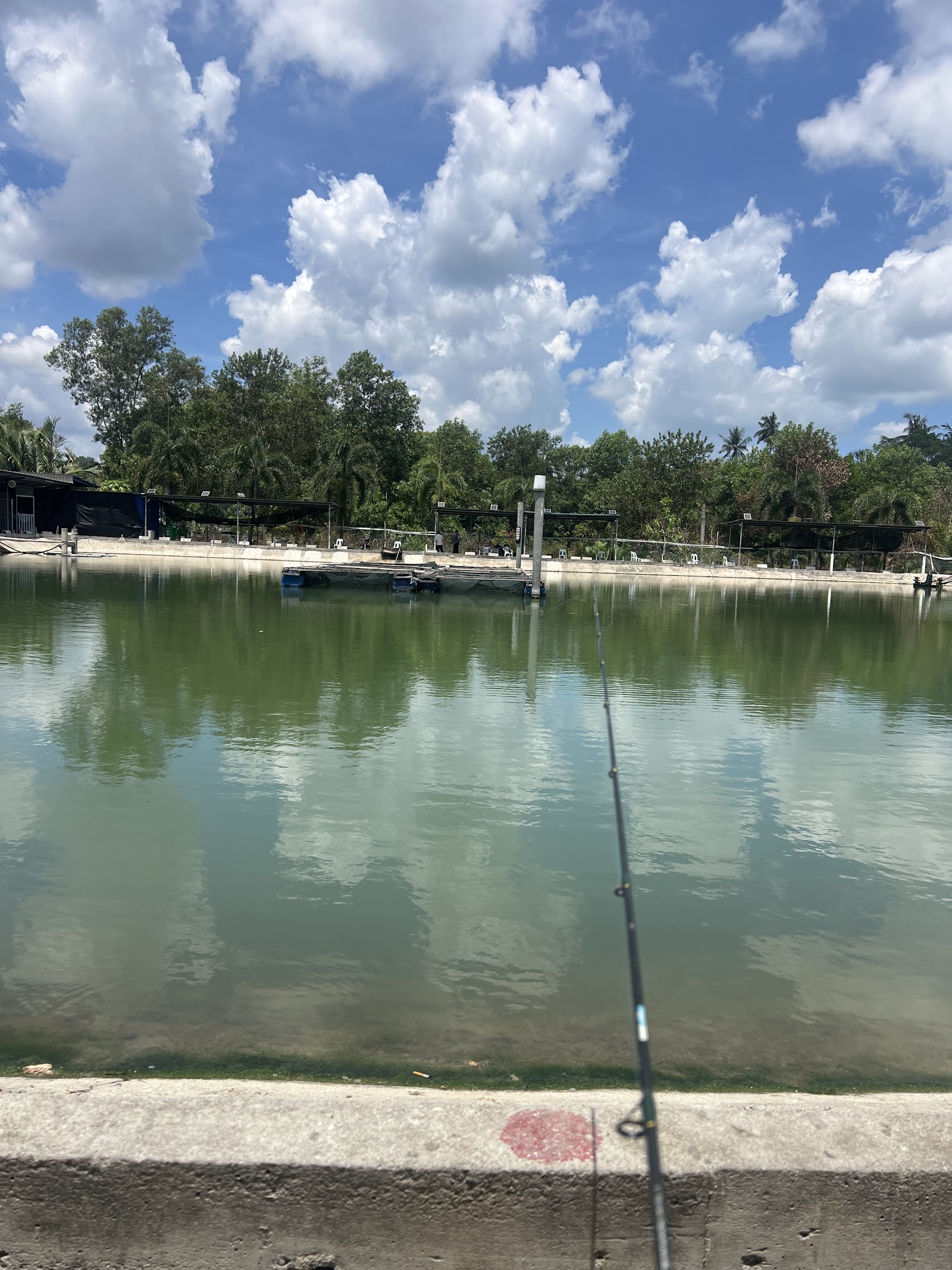 Kolam Pancing Angah BP, fishing pond in Johor (photo 2)