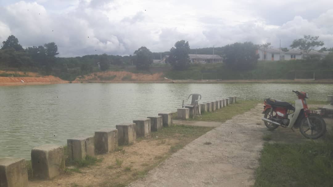 Kolam pancing Kolam Kaseh Mini Tasik Felda Inas