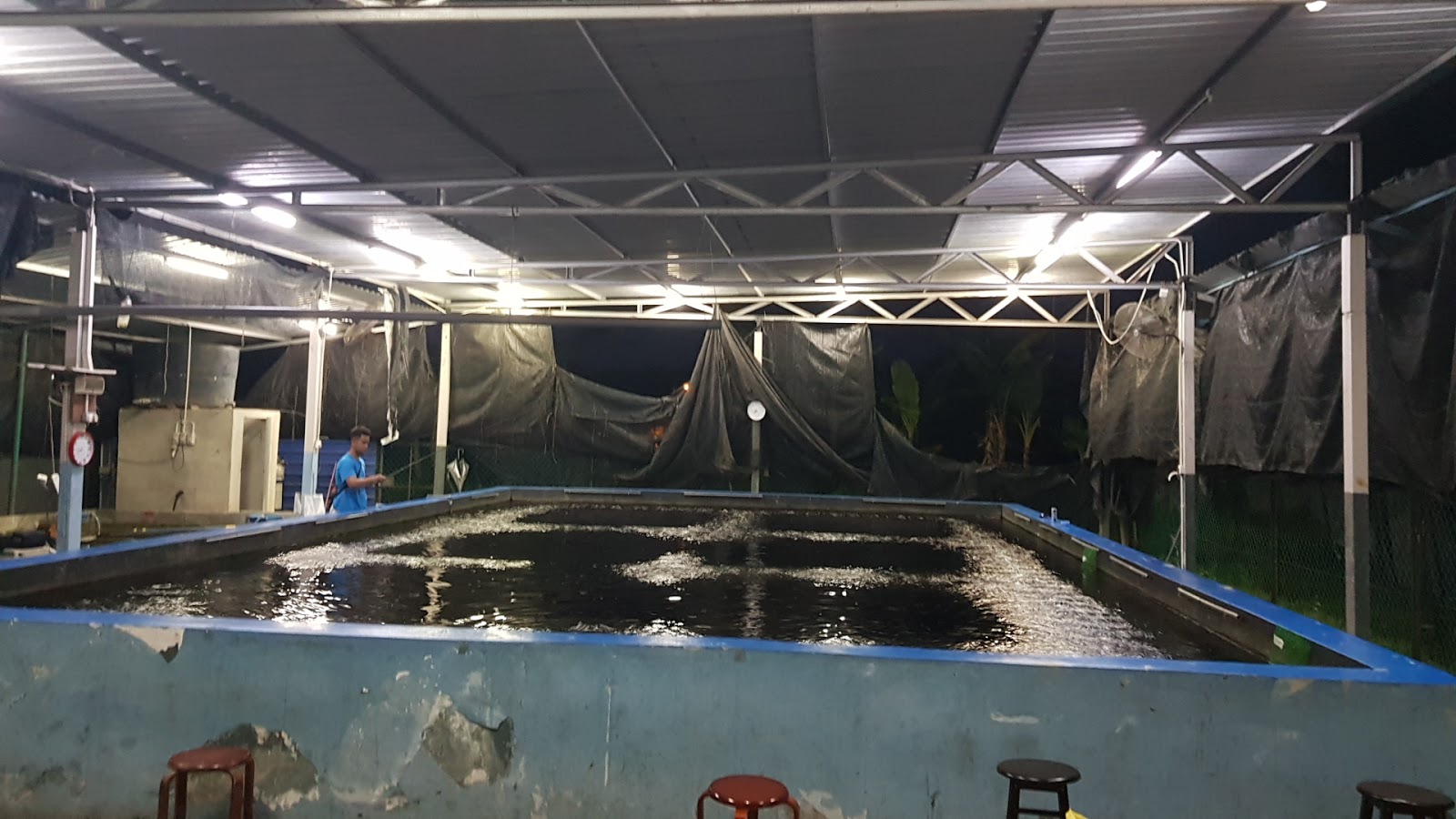 Kolam Pancing Udang Seri Sulong, kolam pancing di Parit Sulong, Johor (gambar 3)