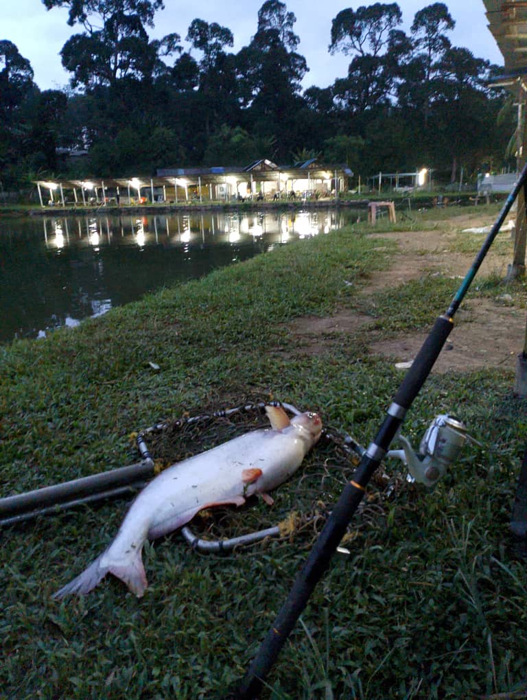 Kolam pancing Atap Kolam Ikan Pancing