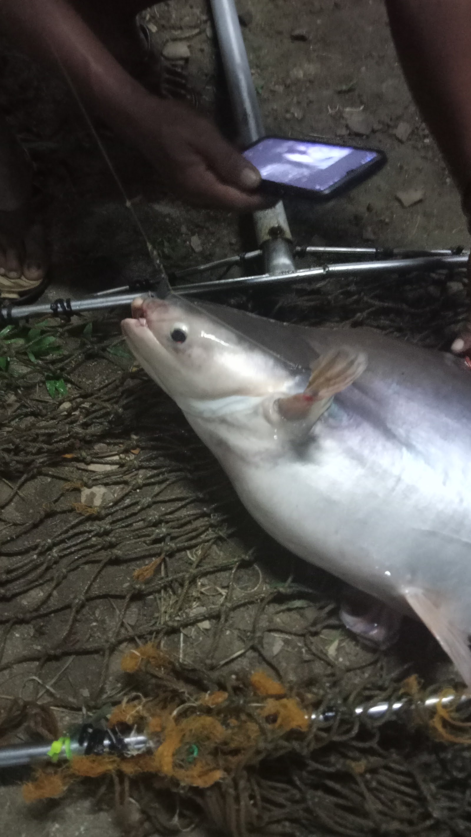 Atap Kolam Ikan Pancing, fishing pond in Segamat, Johor (photo 3)