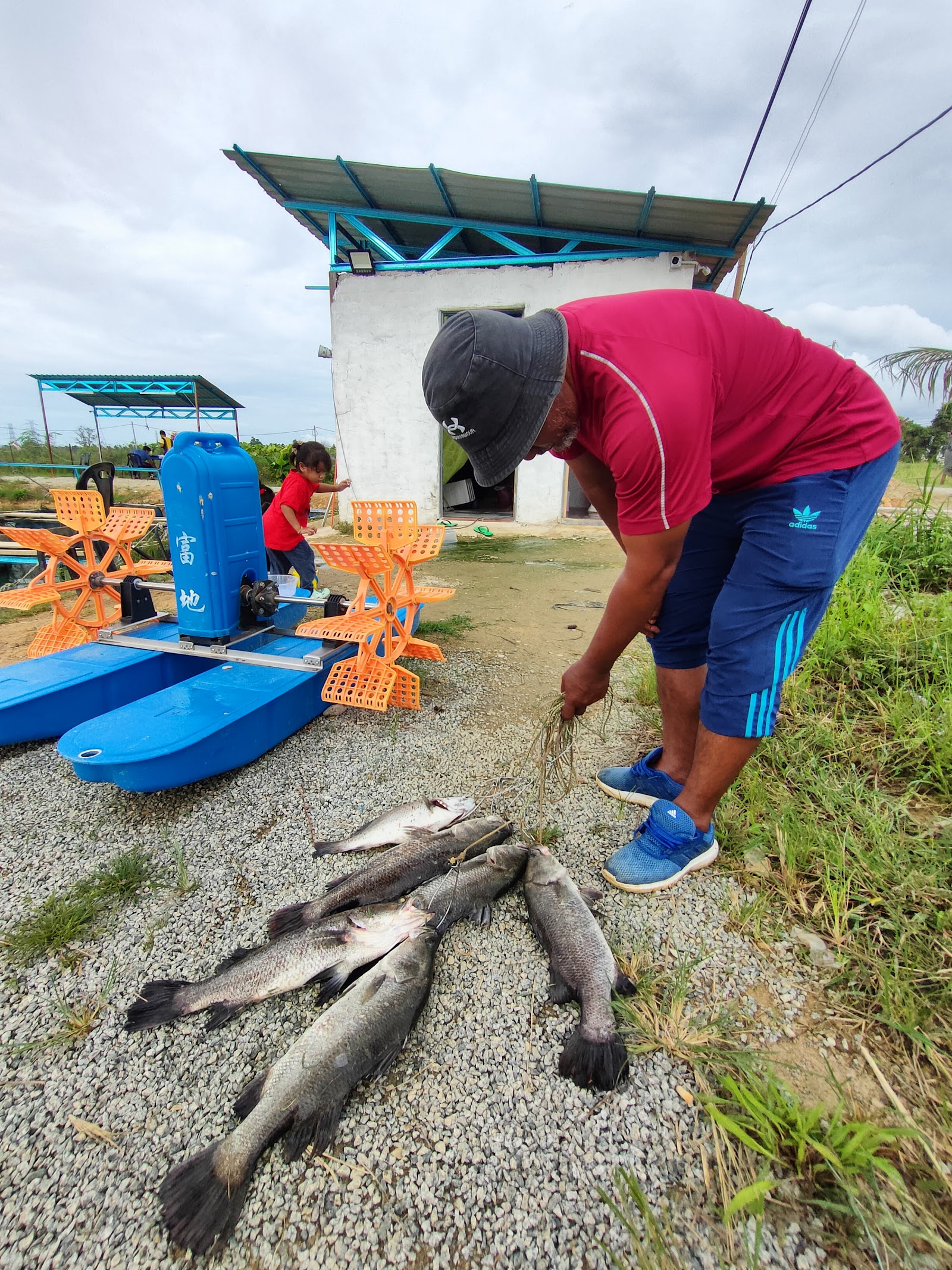 De'Fish Fishing Park, kolam pancing di Kota Bharu, Kelantan (gambar 1)