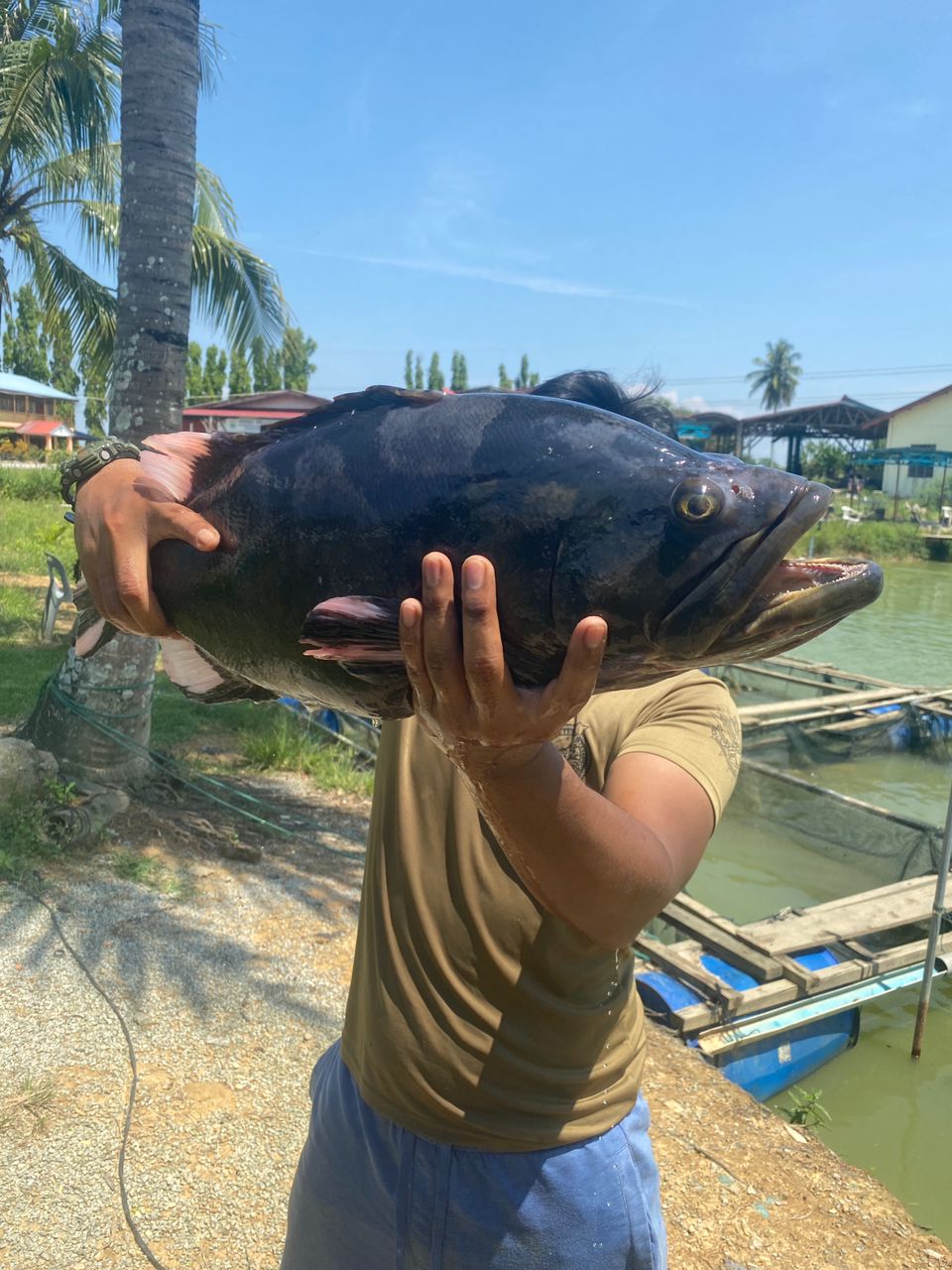 De'Fish Fishing Park, kolam pancing di Kota Bharu, Kelantan (gambar 2)