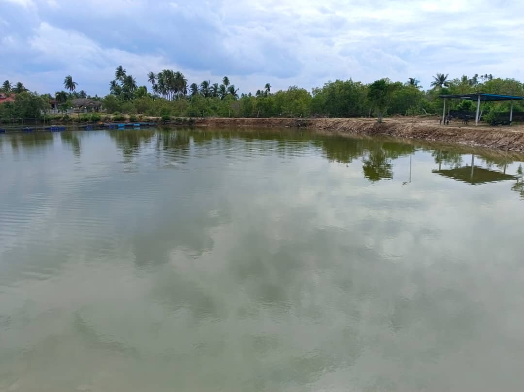 Kolam pancing KOLAM PANCING TANJUNG JAWA