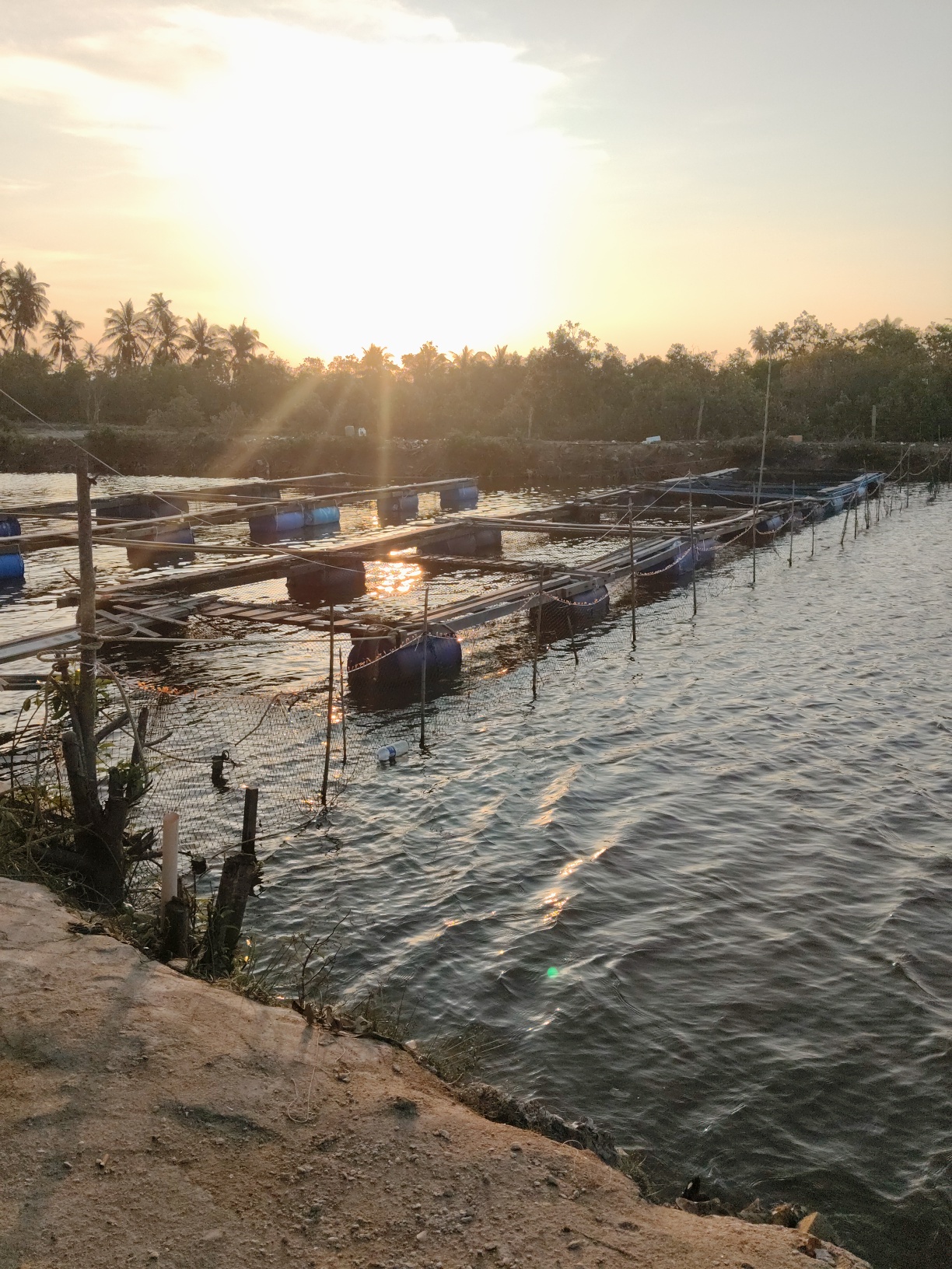 KOLAM PANCING TANJUNG JAWA, kolam pancing di Kota Bharu, Kelantan (gambar 2)