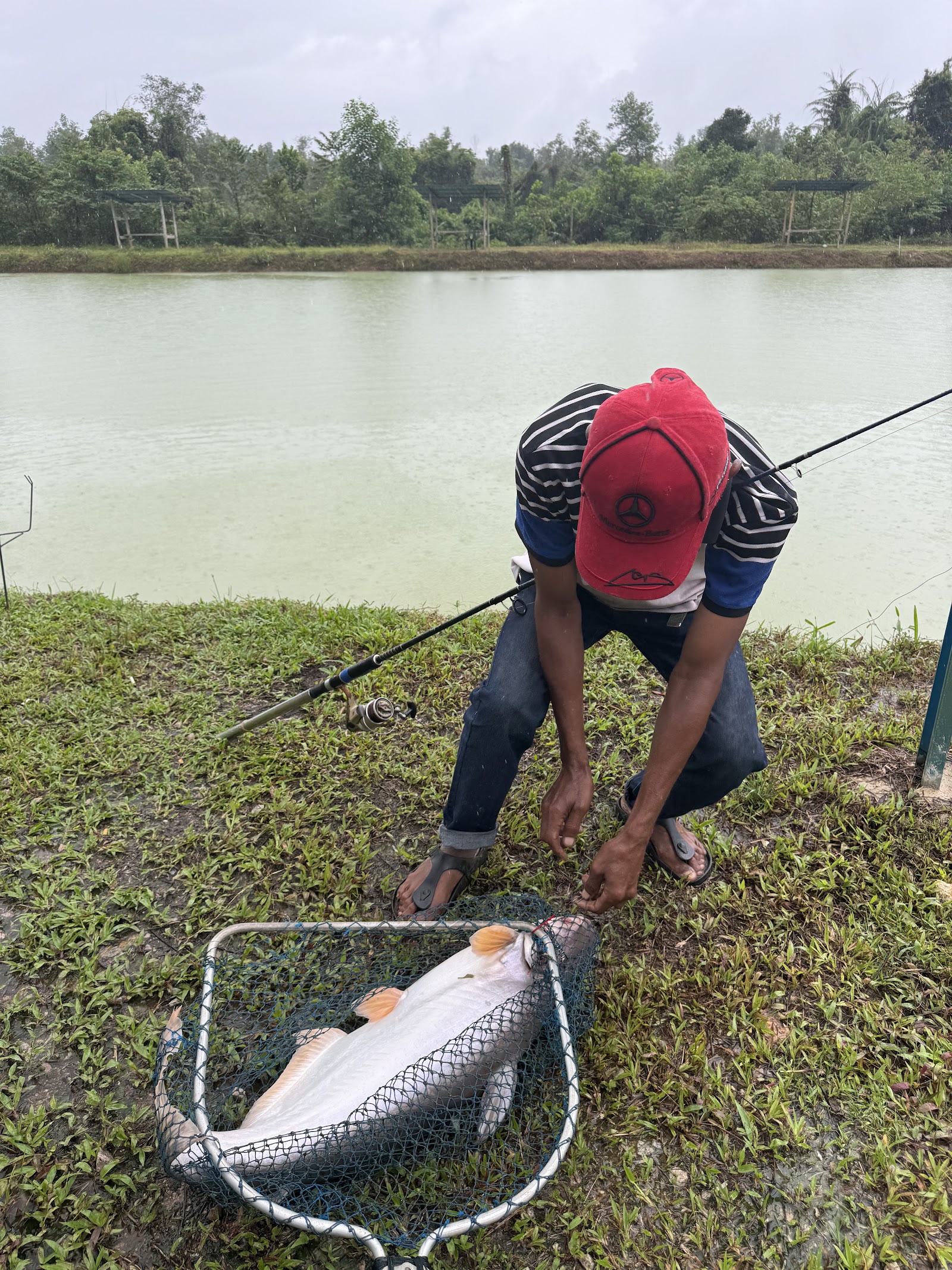 Kolam Pancing D’Recreation, fishing pond in Bandar Machang, Kelantan (photo 2)