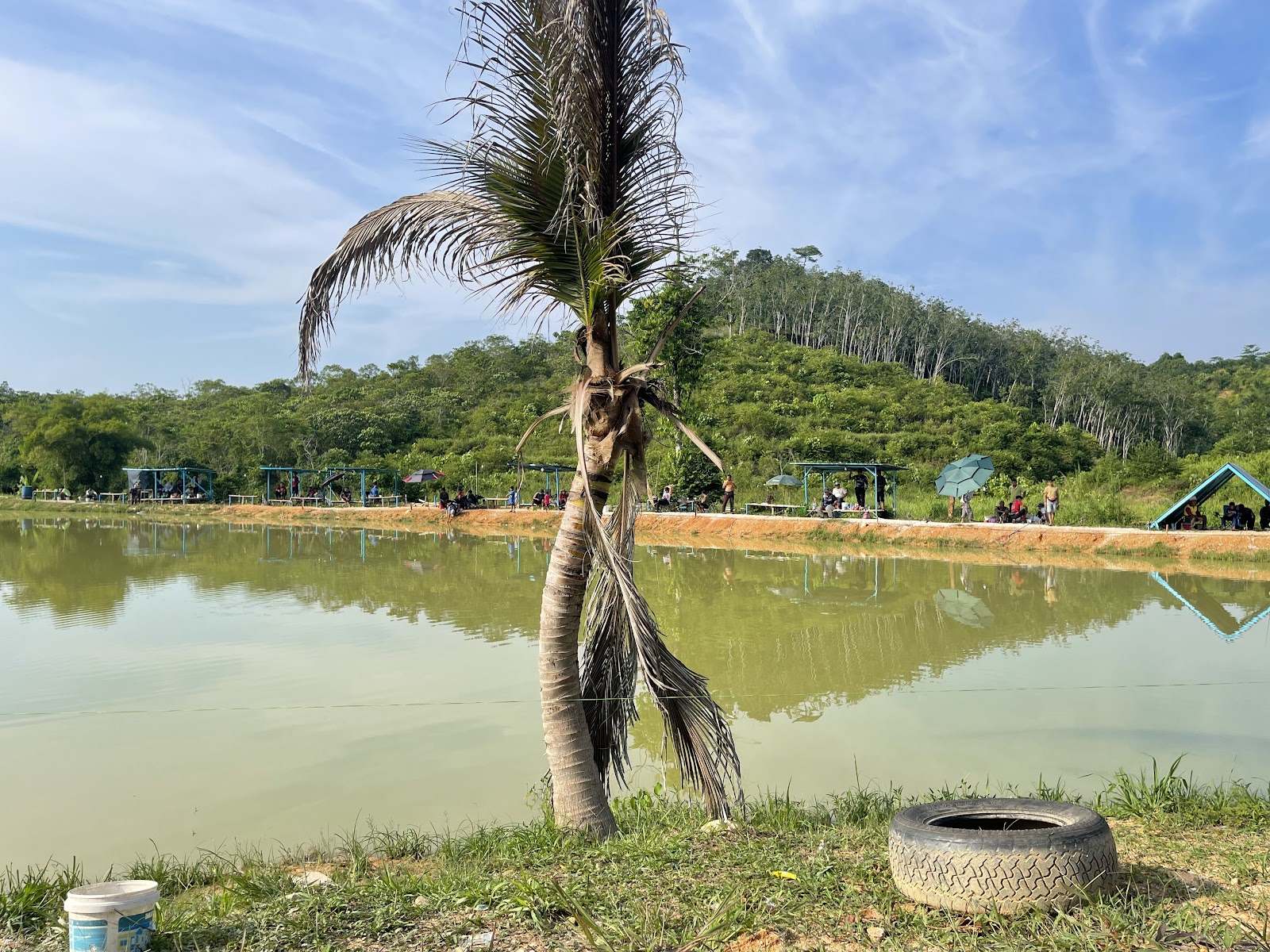 Kolam Pancing Bukit Subong Eco Farm, kolam pancing di Gua Musang, Kelantan (gambar 2)