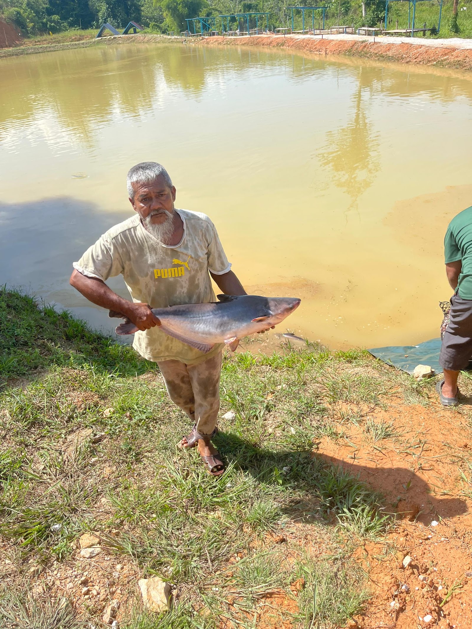 Kolam Pancing Bukit Subong Eco Farm, kolam pancing di Gua Musang, Kelantan (gambar 3)