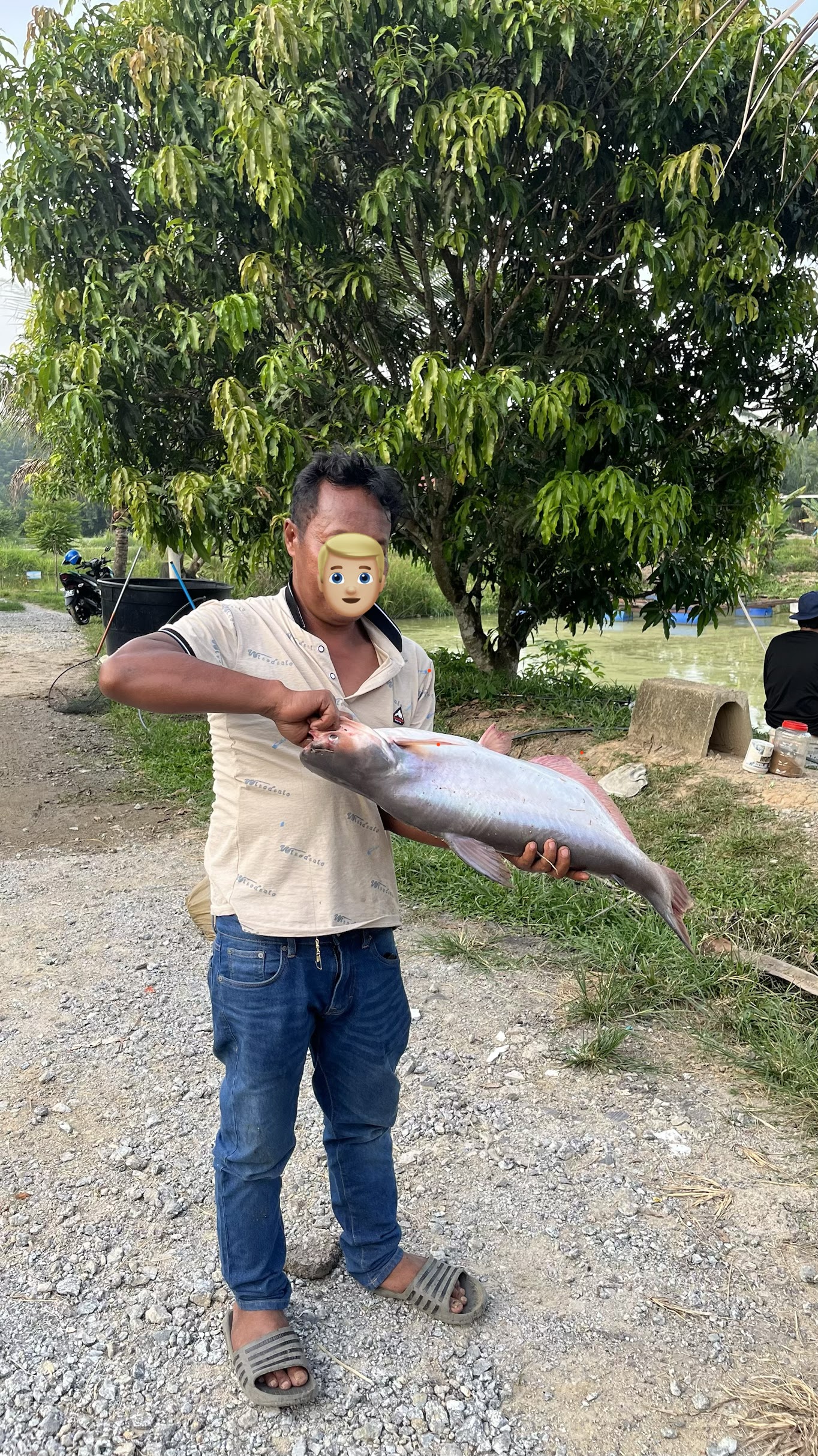 KOLAM MEMANCING ANUAR TERMURAH TANAH MERAH, kolam pancing di Tanah Merah, Kelantan (gambar 2)