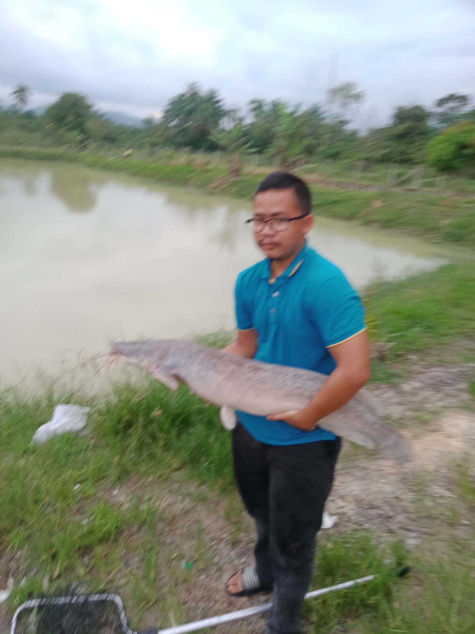 Kolam Pancing Lavender & Cafe, fishing pond in Pasir Puteh, Kelantan (photo 2)